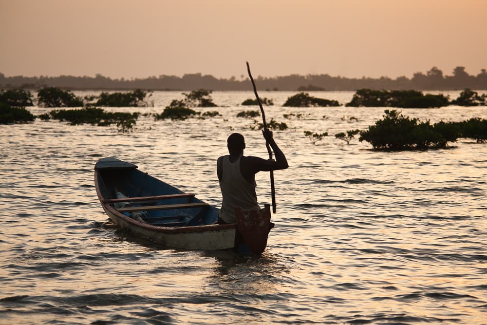Delta del Saloum