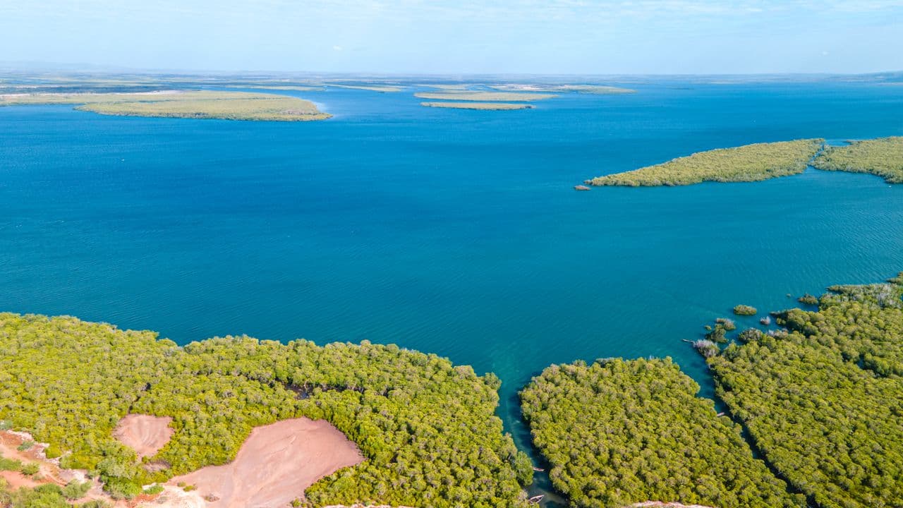 Parque Nacional del Delta del Saloum